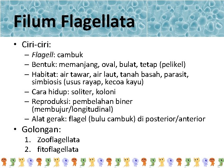 Filum Flagellata • Ciri-ciri: – Flagell: cambuk – Bentuk: memanjang, oval, bulat, tetap (pelikel)