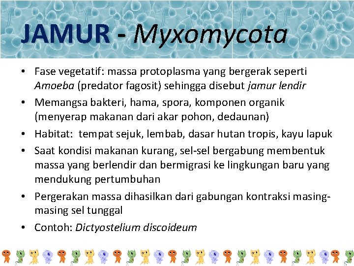 JAMUR - Myxomycota • Fase vegetatif: massa protoplasma yang bergerak seperti Amoeba (predator fagosit)