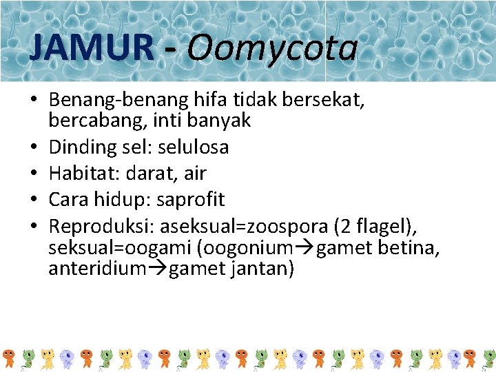 JAMUR - Oomycota • Benang-benang hifa tidak bersekat, bercabang, inti banyak • Dinding sel: