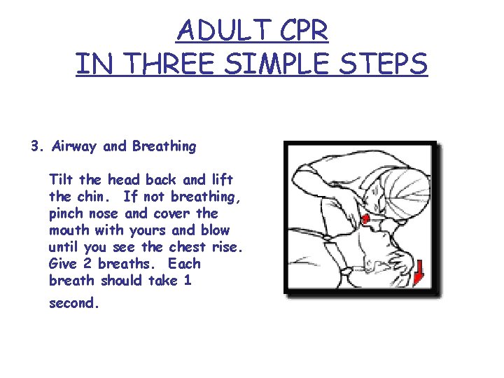 ADULT CPR IN THREE SIMPLE STEPS 3. Airway and Breathing Tilt the head back