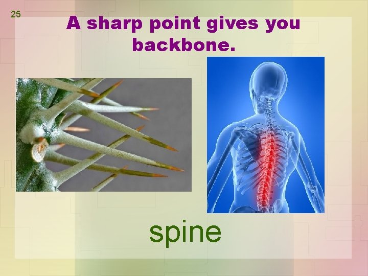 25 A sharp point gives you backbone. spine 