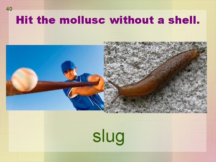 40 Hit the mollusc without a shell. slug 