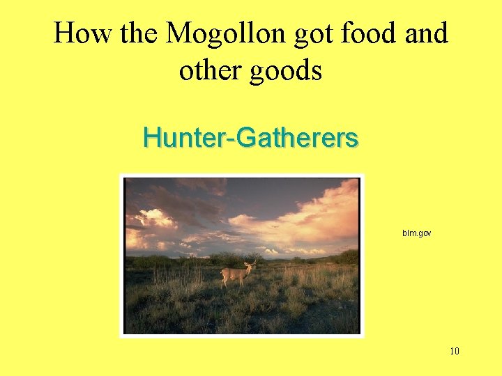 How the Mogollon got food and other goods Hunter-Gatherers blm. gov 10 