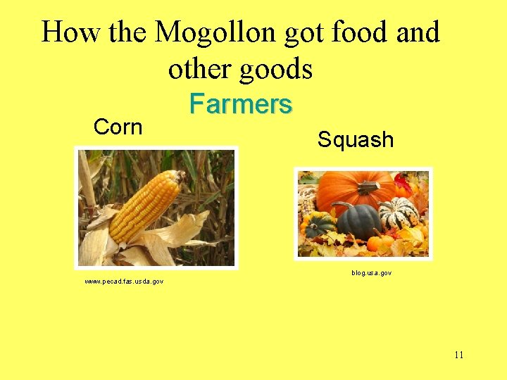 How the Mogollon got food and other goods Corn Farmers Squash blog. usa. gov