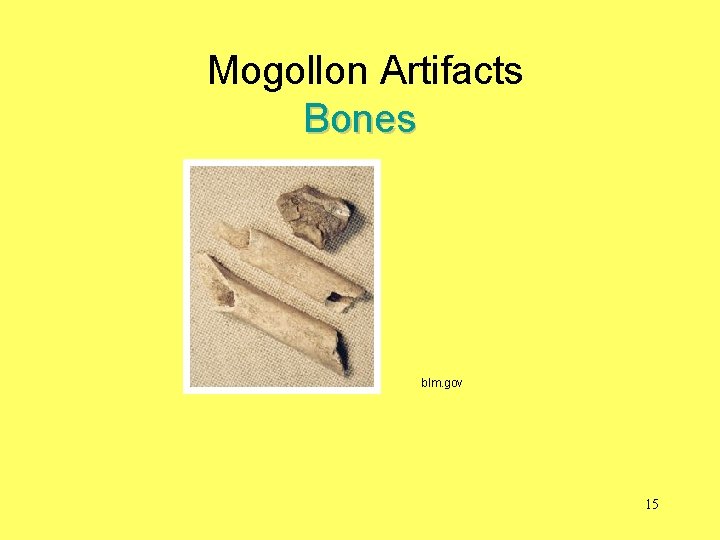 Mogollon Artifacts Bones blm. gov 15 