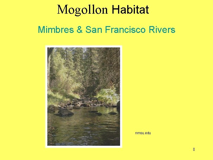 Mogollon Habitat Mimbres & San Francisco Rivers nmsu. edu 8 