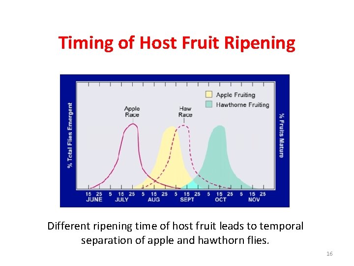 Timing of Host Fruit Ripening Different ripening time of host fruit leads to temporal