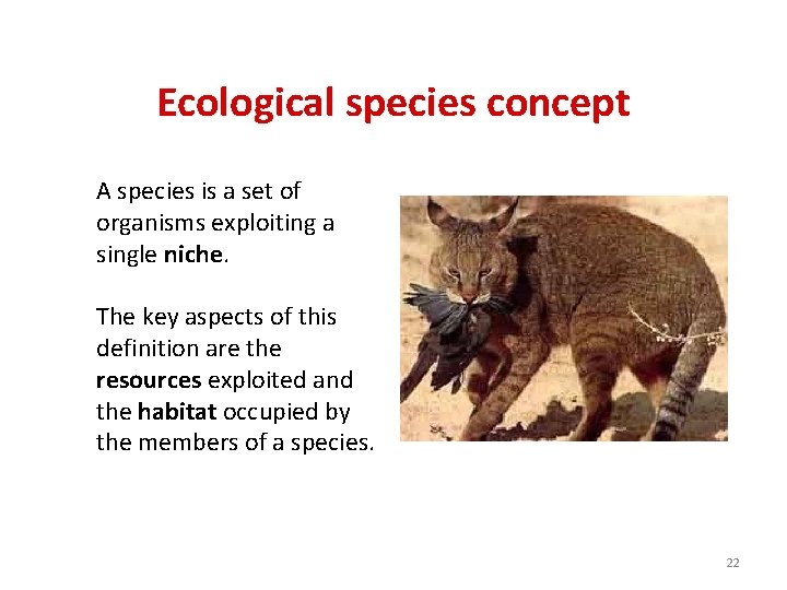 Ecological species concept A species is a set of organisms exploiting a single niche.