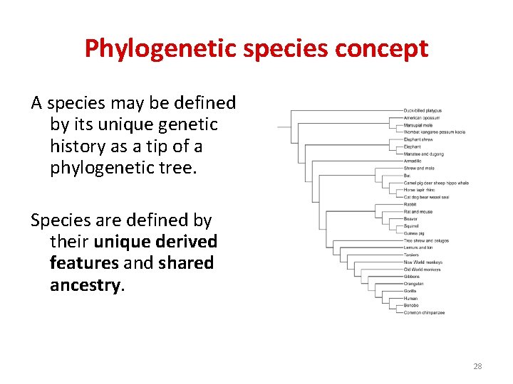 Phylogenetic species concept A species may be defined by its unique genetic history as