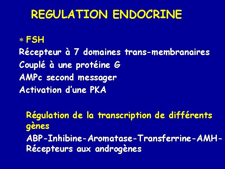 REGULATION ENDOCRINE * FSH Récepteur à 7 domaines trans-membranaires Couplé à une protéine G