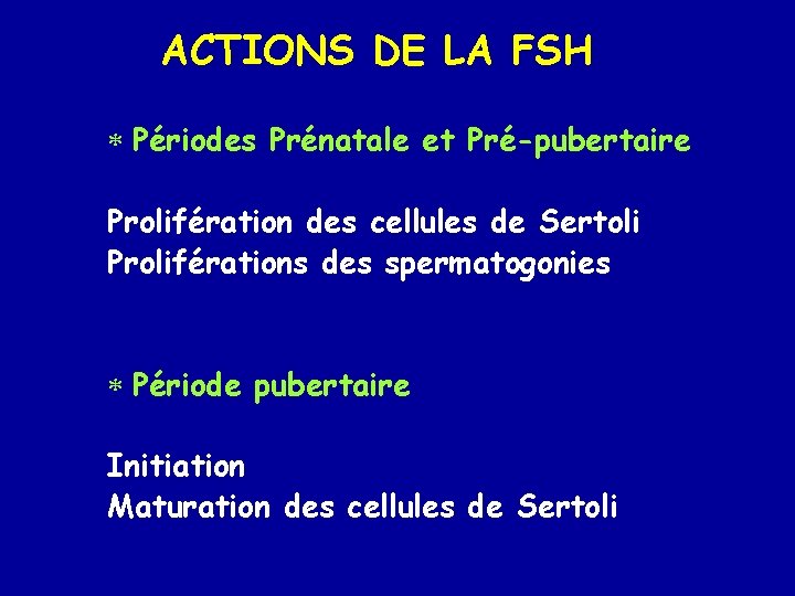 ACTIONS DE LA FSH * Périodes Prénatale et Pré-pubertaire Prolifération des cellules de Sertoli