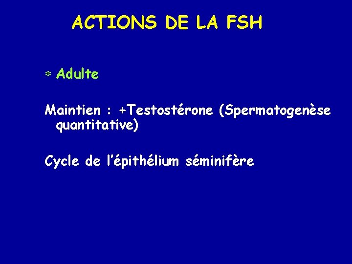 ACTIONS DE LA FSH * Adulte Maintien : +Testostérone (Spermatogenèse quantitative) Cycle de l’épithélium