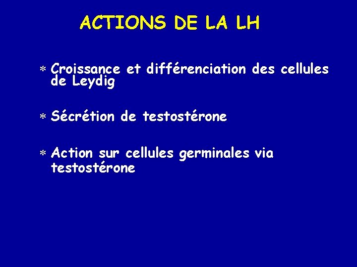 ACTIONS DE LA LH * Croissance et différenciation des cellules de Leydig * Sécrétion