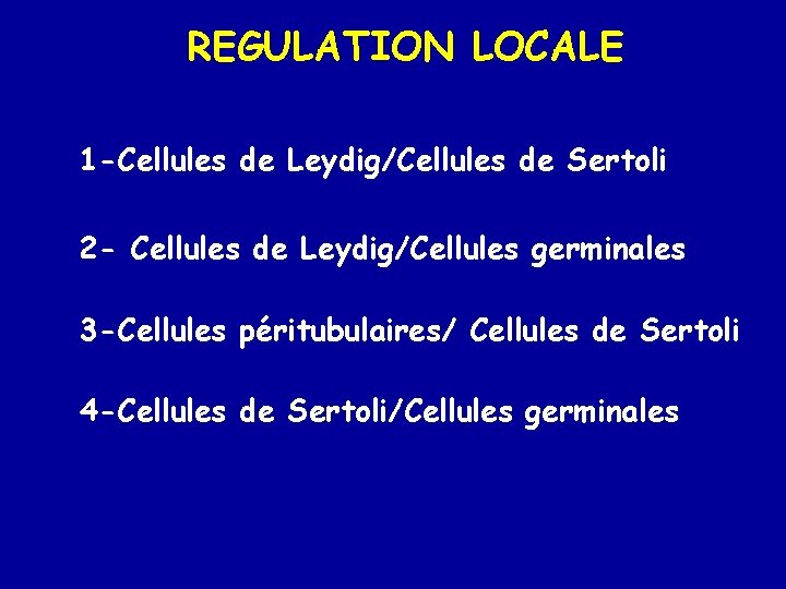 REGULATION LOCALE 1 -Cellules de Leydig/Cellules de Sertoli 2 - Cellules de Leydig/Cellules germinales