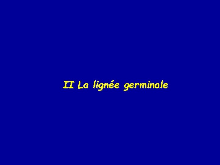 II La lignée germinale 