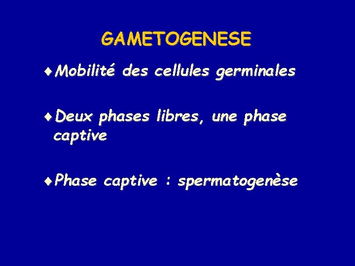 GAMETOGENESE ¨Mobilité des cellules germinales ¨Deux phases libres, une phase captive ¨Phase captive :