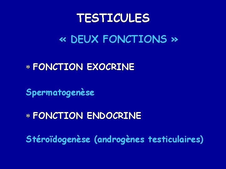 TESTICULES « DEUX FONCTIONS » * FONCTION EXOCRINE Spermatogenèse * FONCTION ENDOCRINE Stéroïdogenèse (androgènes