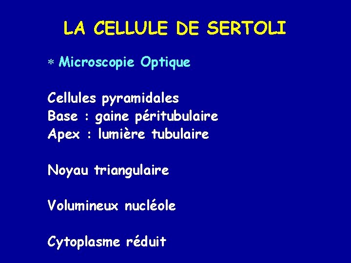 LA CELLULE DE SERTOLI * Microscopie Optique Cellules pyramidales Base : gaine péritubulaire Apex