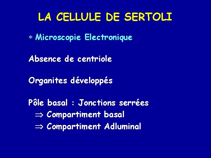LA CELLULE DE SERTOLI * Microscopie Electronique Absence de centriole Organites développés Pôle basal