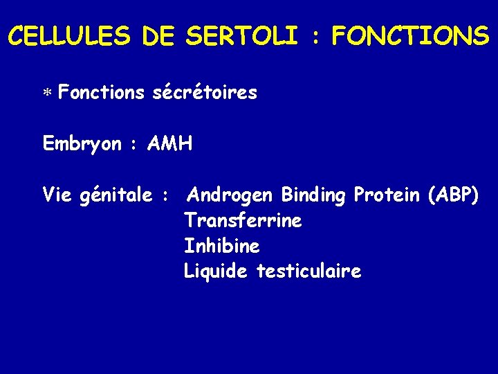 CELLULES DE SERTOLI : FONCTIONS * Fonctions sécrétoires Embryon : AMH Vie génitale :