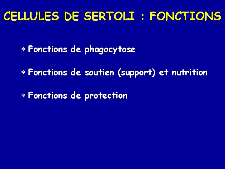 CELLULES DE SERTOLI : FONCTIONS * Fonctions de phagocytose * Fonctions de soutien (support)
