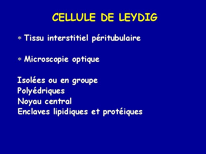 CELLULE DE LEYDIG * Tissu interstitiel péritubulaire * Microscopie optique Isolées ou en groupe