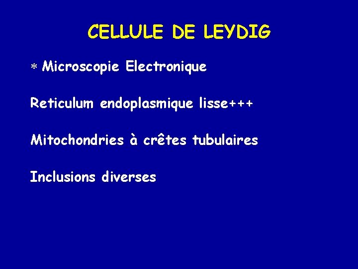 CELLULE DE LEYDIG * Microscopie Electronique Reticulum endoplasmique lisse+++ Mitochondries à crêtes tubulaires Inclusions