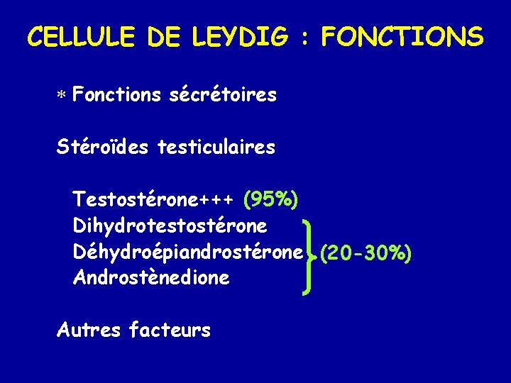 CELLULE DE LEYDIG : FONCTIONS * Fonctions sécrétoires Stéroïdes testiculaires Testostérone+++ (95%) Dihydrotestostérone Déhydroépiandrostérone