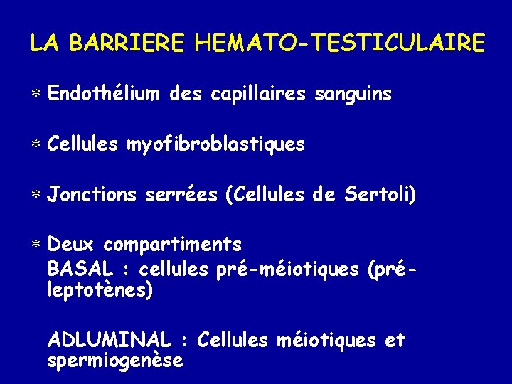 LA BARRIERE HEMATO-TESTICULAIRE * Endothélium des capillaires sanguins * Cellules myofibroblastiques * Jonctions serrées