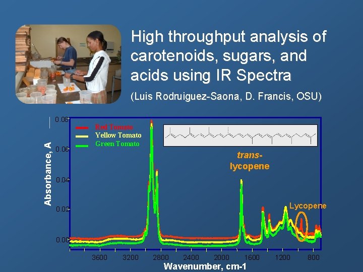 High throughput analysis of carotenoids, sugars, and acids using IR Spectra (Luis Rodruiguez Saona,