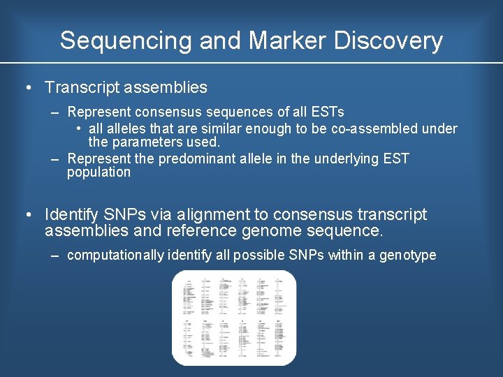 Sequencing and Marker Discovery • Transcript assemblies – Represent consensus sequences of all ESTs