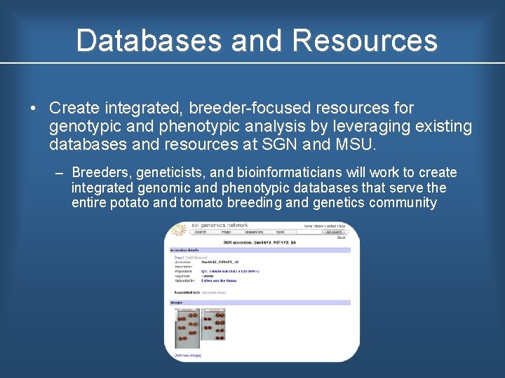 Databases and Resources • Create integrated, breeder focused resources for genotypic and phenotypic analysis