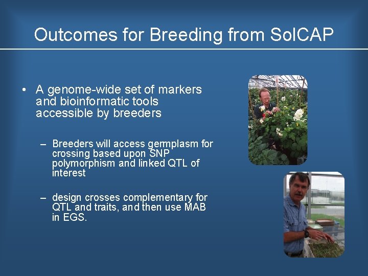Outcomes for Breeding from Sol. CAP • A genome wide set of markers and