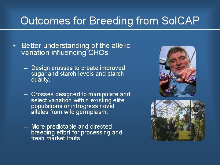 Outcomes for Breeding from Sol. CAP • Better understanding of the allelic variation influencing
