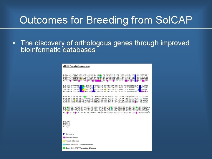 Outcomes for Breeding from Sol. CAP • The discovery of orthologous genes through improved