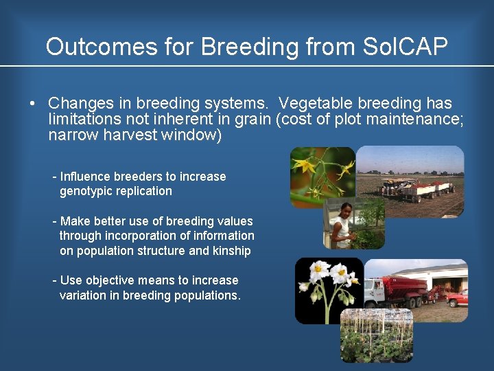 Outcomes for Breeding from Sol. CAP • Changes in breeding systems. Vegetable breeding has