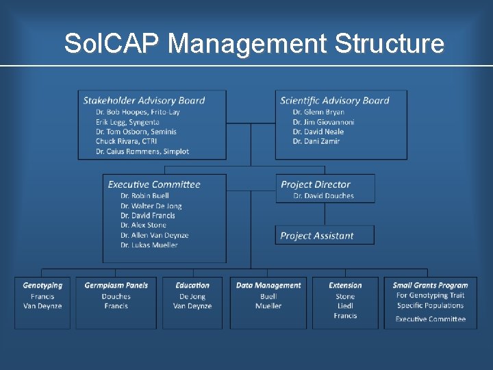 Sol. CAP Management Structure 