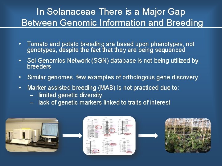 In Solanaceae There is a Major Gap Between Genomic Information and Breeding • Tomato