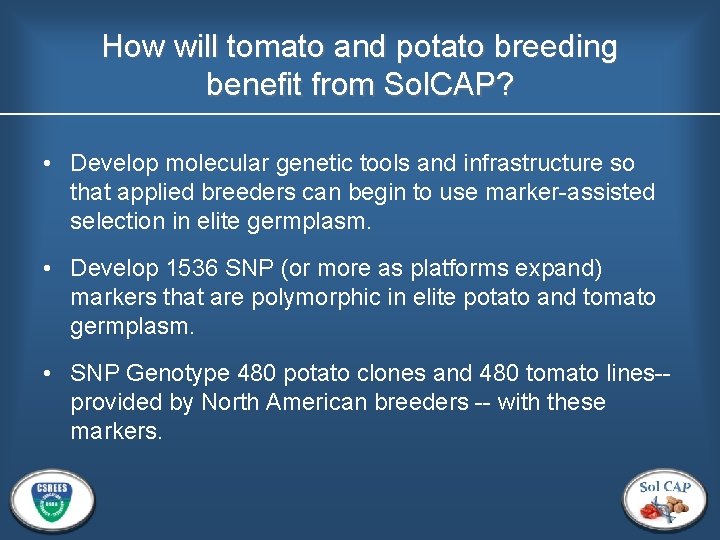 How will tomato and potato breeding benefit from Sol. CAP? • Develop molecular genetic