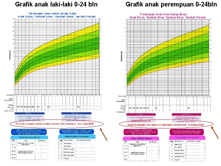 Grafik anak laki-laki 0 -24 bln Grafik anak perempuan 0 -24 bln 