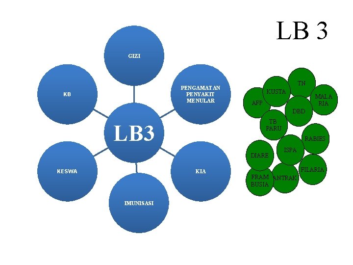 LB 3 GIZI PENGAMATAN PENYAKIT MENULAR KB TN KUSTA MALA RIA AFP DBD TB