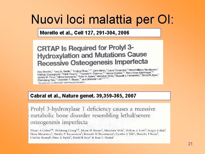 Nuovi loci malattia per OI: Morello et al. , Cell 127, 291 -304, 2006