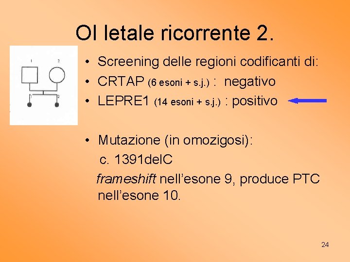 OI letale ricorrente 2. • Screening delle regioni codificanti di: • CRTAP (6 esoni