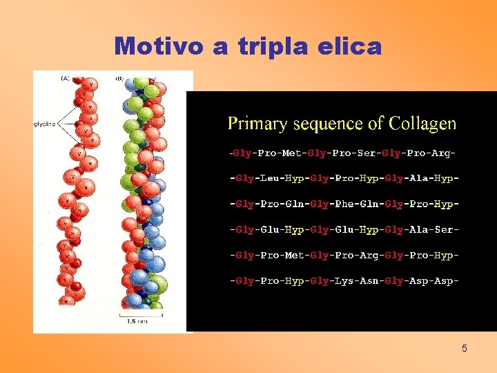 Motivo a tripla elica 5 