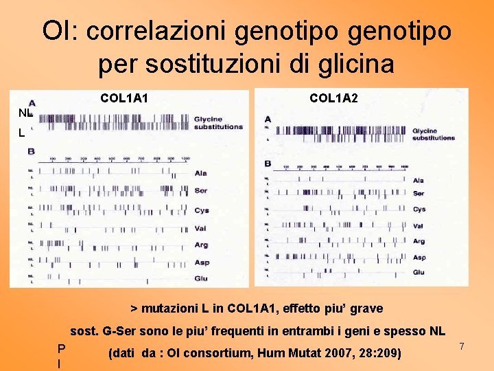 OI: correlazioni genotipo per sostituzioni di glicina COL 1 A 1 COL 1 A