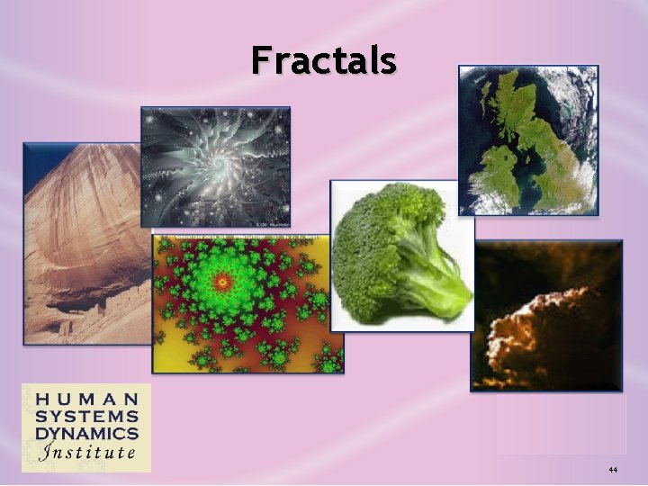 Fractals 44 