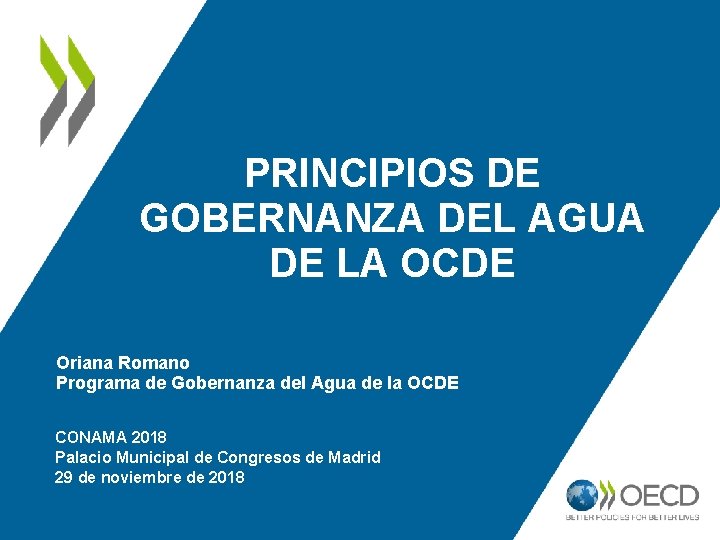 PRINCIPIOS DE GOBERNANZA DEL AGUA DE LA OCDE Oriana Romano Programa de Gobernanza del