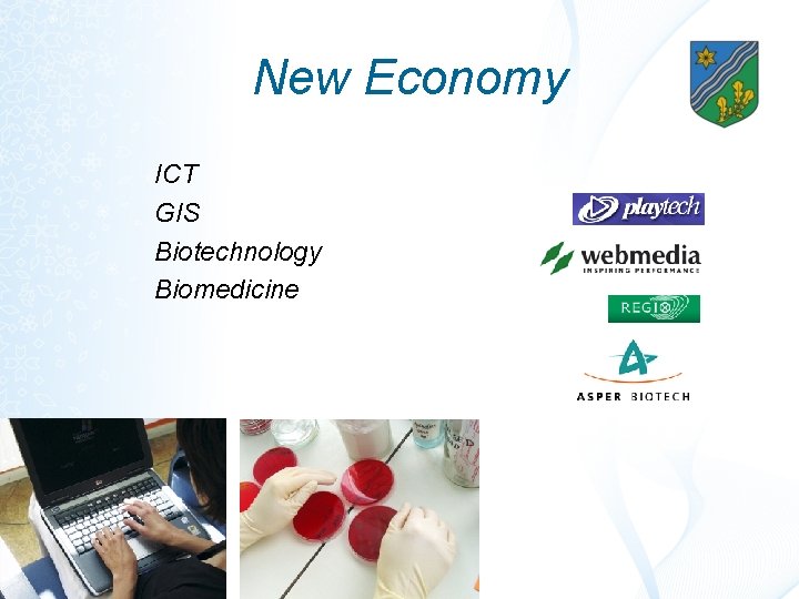 New Economy ICT GIS Biotechnology Biomedicine 