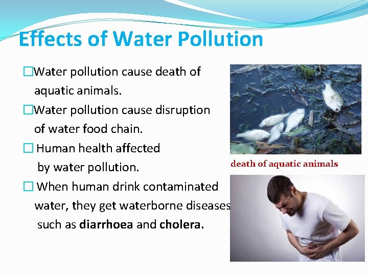 Effects of Water Pollution �Water pollution cause death of aquatic animals. �Water pollution cause