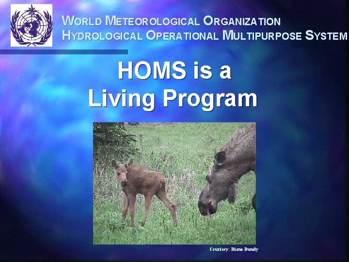 WORLD METEOROLOGICAL ORGANIZATION HYDROLOGICAL OPERATIONAL MULTIPURPOSE SYSTEM HOMS is a Living Program Courtesy: Diane